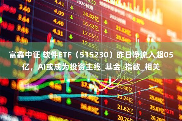富鑫中证 软件ETF（515230）昨日净流入超05亿，AI或成为投资主线_基金_指数_相关
