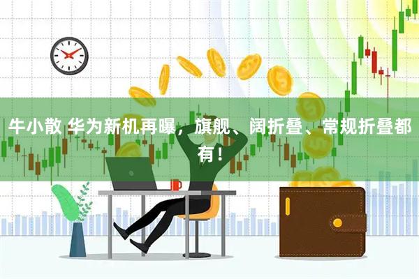 牛小散 华为新机再曝，旗舰、阔折叠、常规折叠都有！