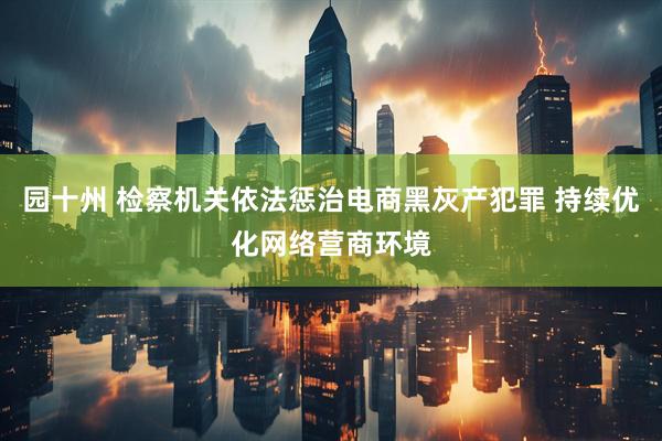 园十州 检察机关依法惩治电商黑灰产犯罪 持续优化网络营商环境