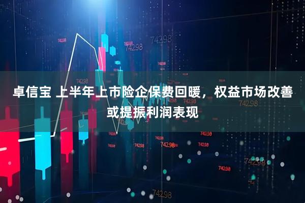 卓信宝 上半年上市险企保费回暖，权益市场改善或提振利润表现