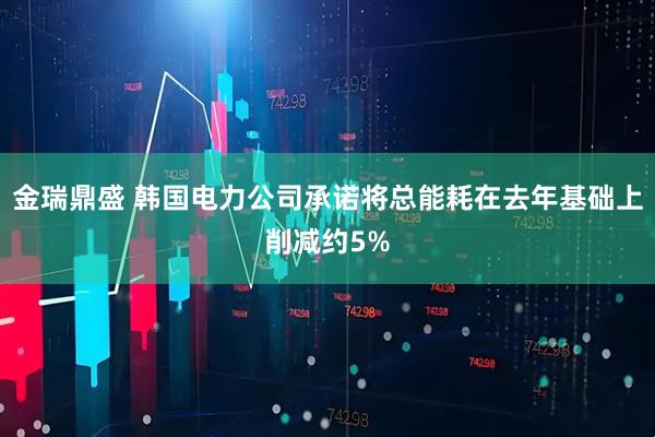 金瑞鼎盛 韩国电力公司承诺将总能耗在去年基础上削减约5%