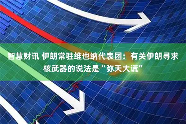 智慧财讯 伊朗常驻维也纳代表团：有关伊朗寻求核武器的说法是“弥天大谎”